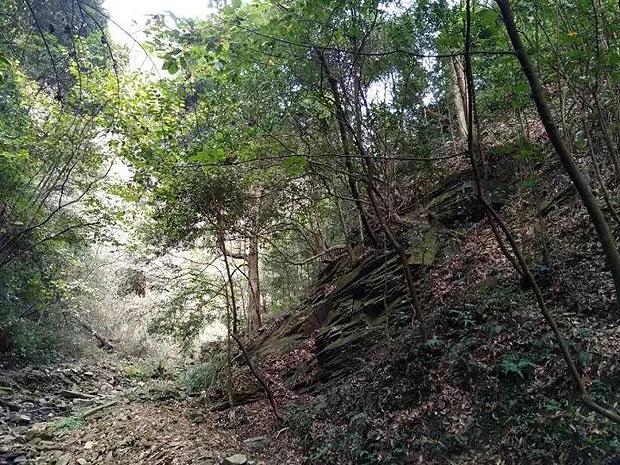 30天注册超8000万，玩家用实际行动认可了《元梦之星》