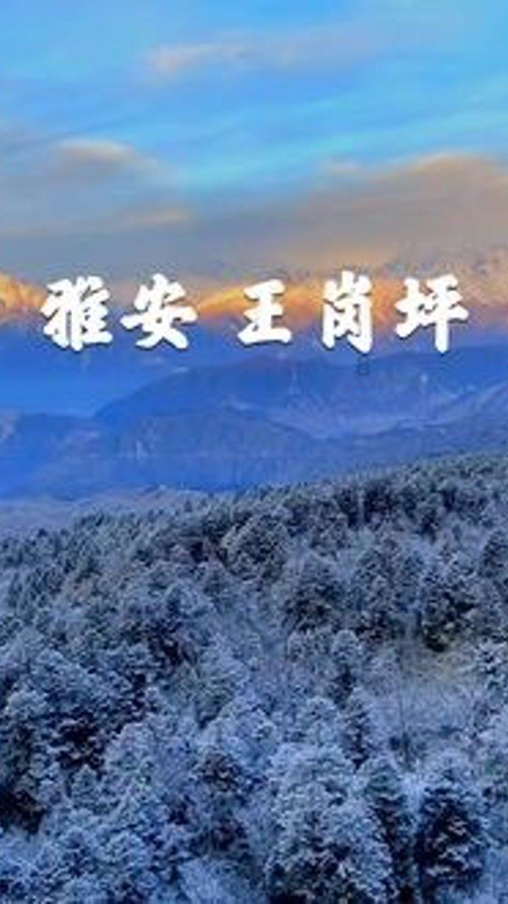 遥望科技去年预亏至少8亿元:鞋履业务经营亏损,计提坏账金额大幅增加