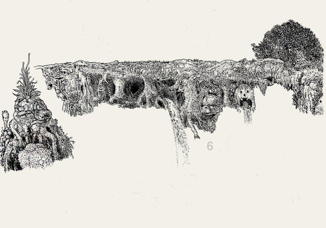 杀手6