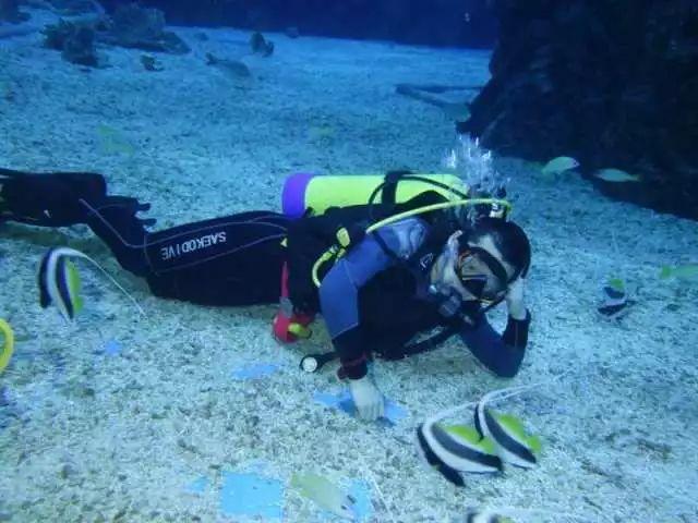 “两会”我关注 充满新期待