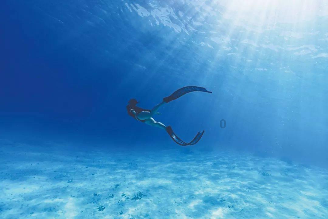 海底世界填颜色4