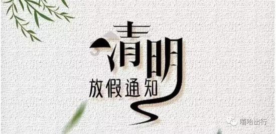 白莲花守则
