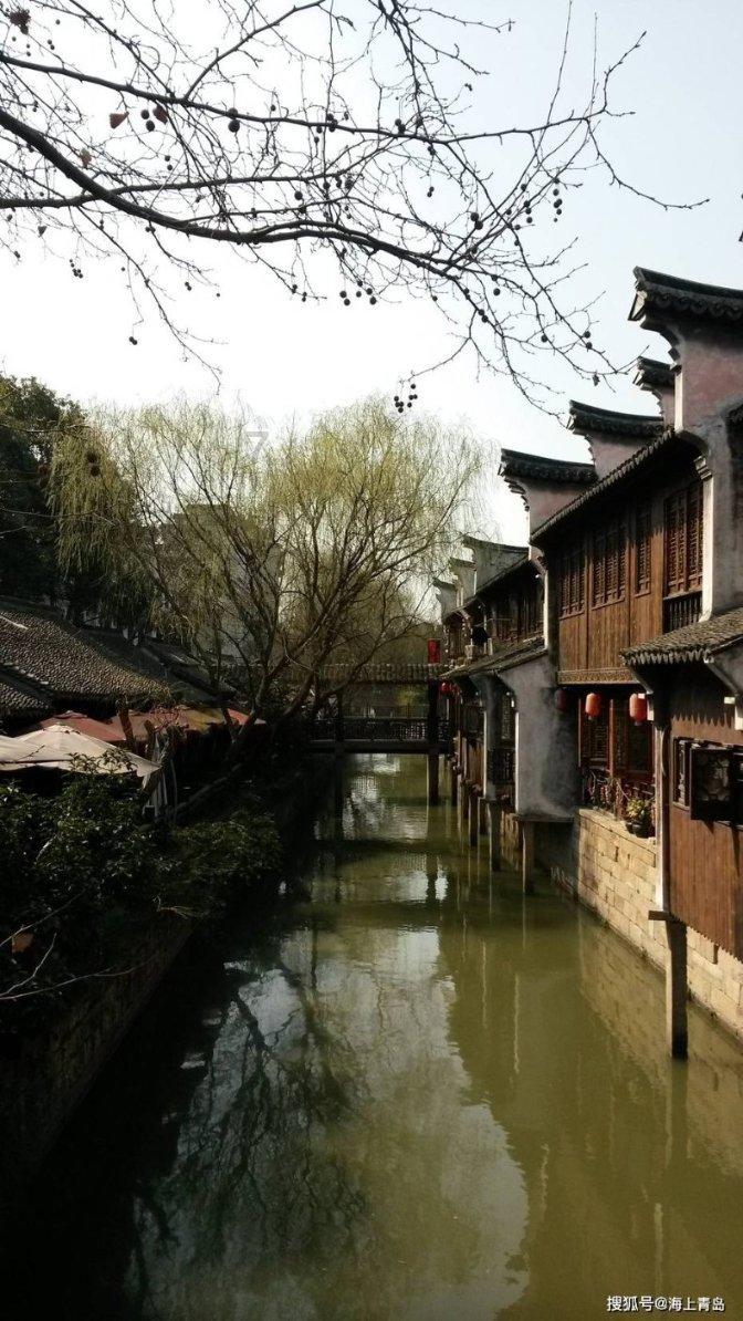 植物大战僵尸20